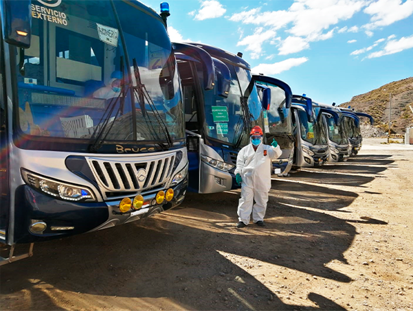 Buses